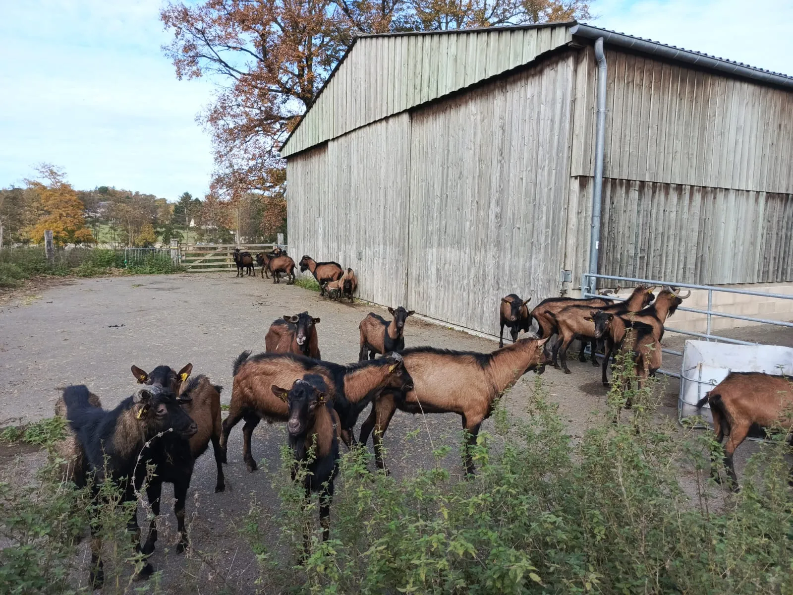 Causal Inference Research at Savencia 3