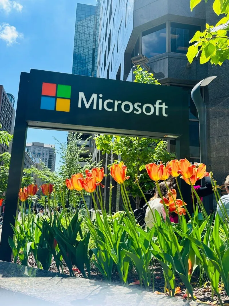 Exchange Semester at McGill University 3